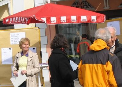 Eva Maria Hauke (links) bei der Bürgerbefragung auf dem Marktplatz. Foto: H. Hauke